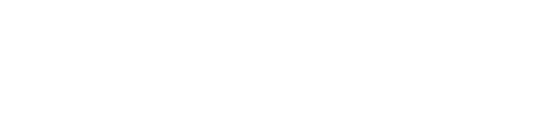 Íslandsstofa Business Iceland Logo