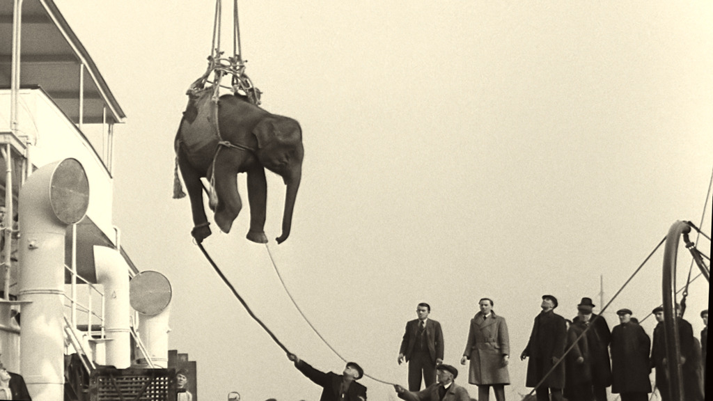 2024 Soundtrack to a Coup dEtat Johan Grimonprez Elephant Cargo © British Pathe