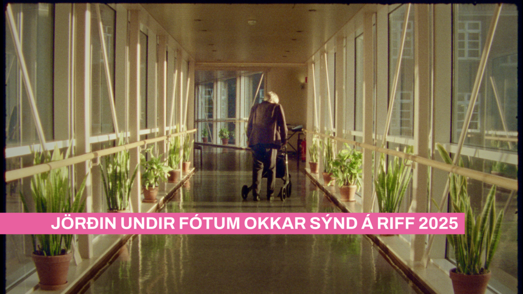 News on the website Culinary Screenings at RIFF 2025 1