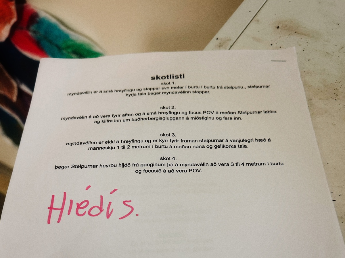 Krakkar filma! á Vestfjörðum 53 18