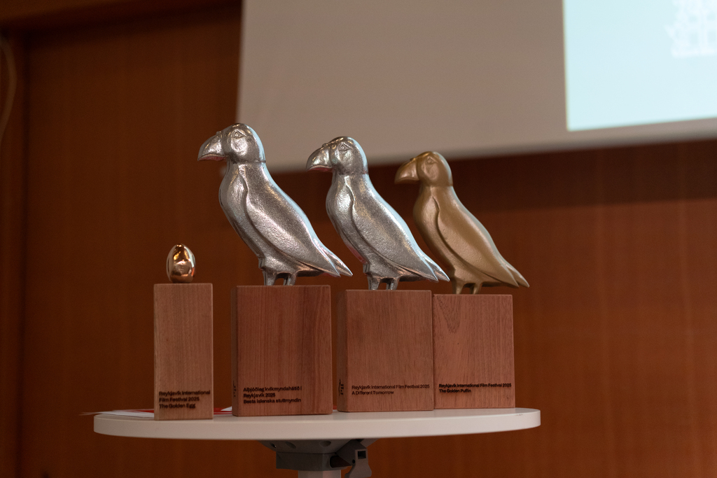 54872061176_ffe5d27271_o